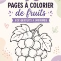 Exemple de pages à colorier de fruits, incluant des pommes et des oranges.