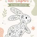 Une belle page à colorier de lapins, prête à être imprimée et colorée.