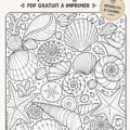 Coloriage de coquillages à imprimer