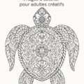 Mandala d'éléphant à colorier pour adultes, prêt à imprimer.
