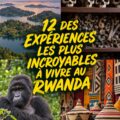 Femmes en train d'explorer des activités créatives au Rwanda dans un cadre naturel
