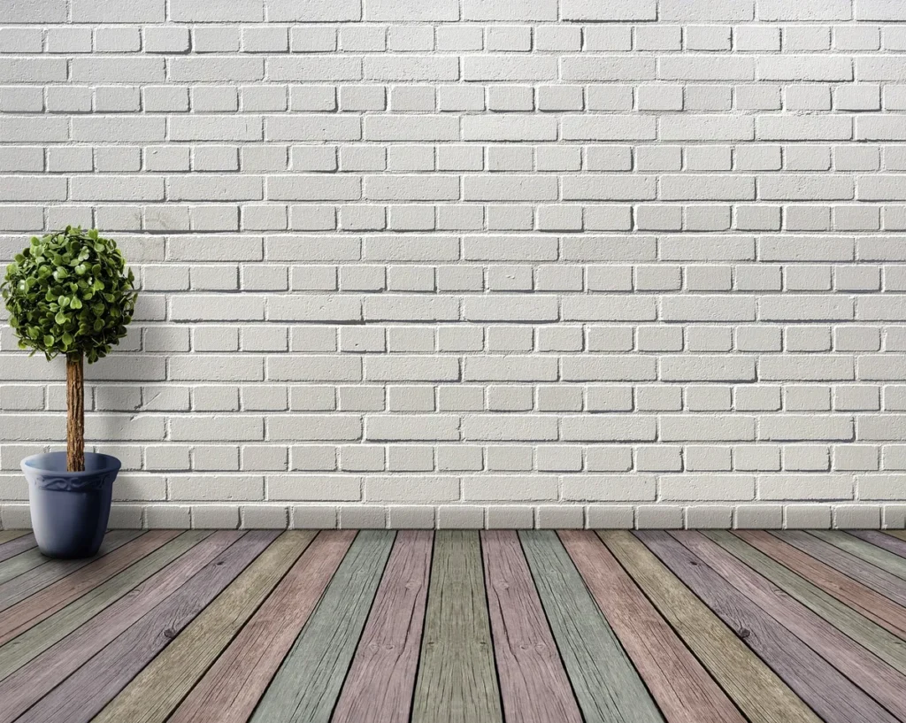 Sorlane Bloom plante aux feuilles ciselées en intérieur