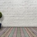 Sorlane Bloom plante aux feuilles ciselées en intérieur
